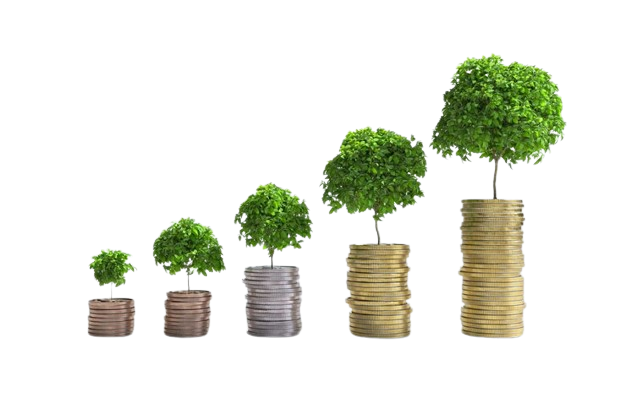 Políticas econômicas em uma nação transformada