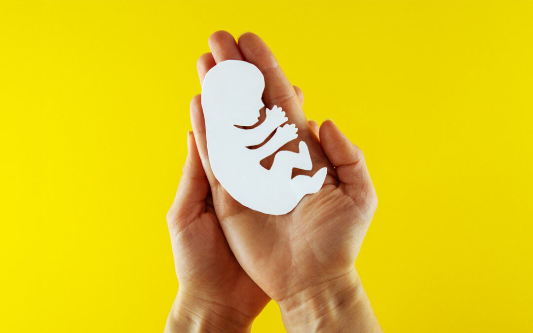 Que espantalho é este? Entenda o Projeto de Lei apelidado “PL do Aborto”