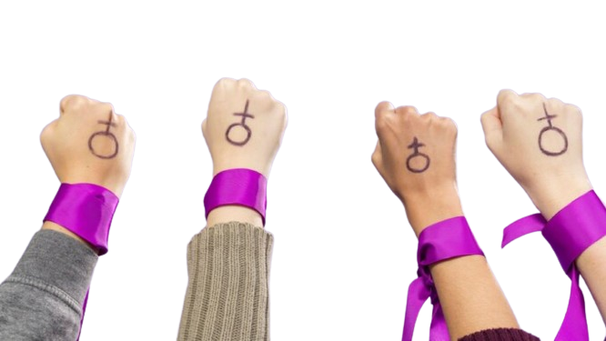 Você realmente conhece o Feminismo?